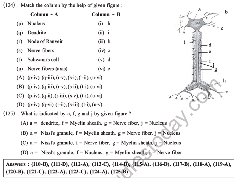 NEET Biology Animal Tissues MCQs Set A, Multiple Choice Questions